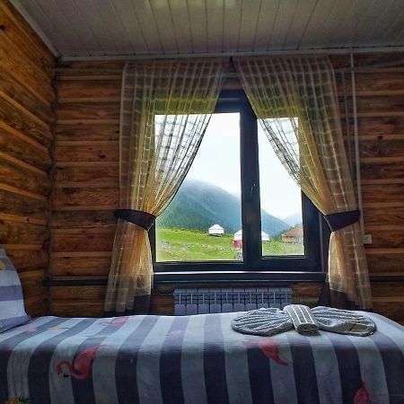 Altyn Arashan Guesthouse エクステリア 写真