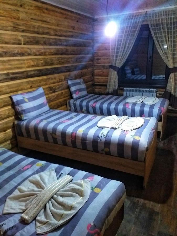 Altyn Arashan Guesthouse エクステリア 写真